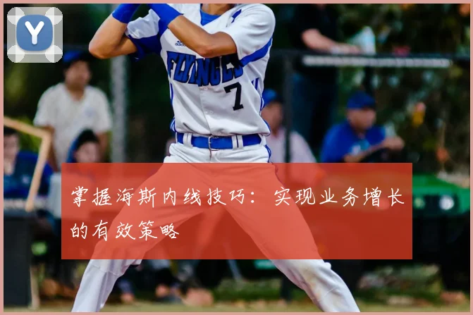 掌握海斯内线技巧：实现业务增长的有效策略