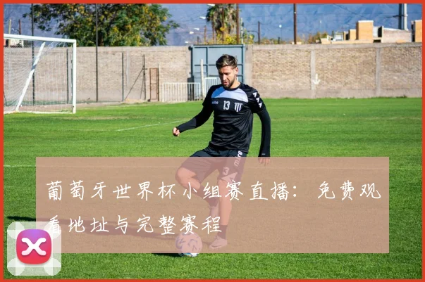 葡萄牙世界杯小组赛直播：免费观看地址与完整赛程