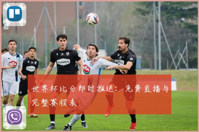 世界杯比分即时推送：免费直播与完整赛程表